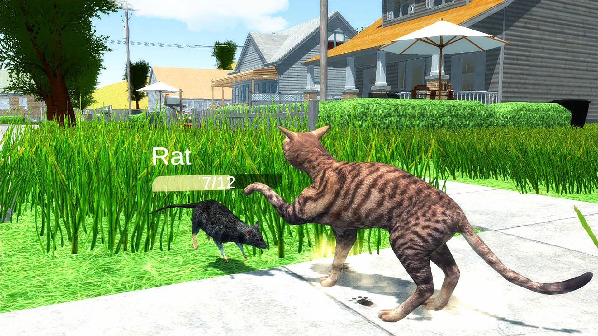 The Cat screenshot